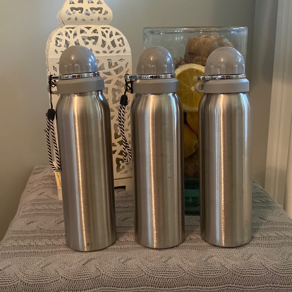 SOLD SOLD❤️Stainless Steel Water Bottles With Loop To Carry! - Picture 1 of 5